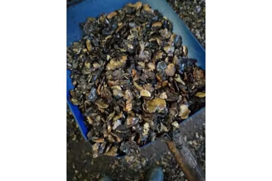 What is cashew shell? How much?