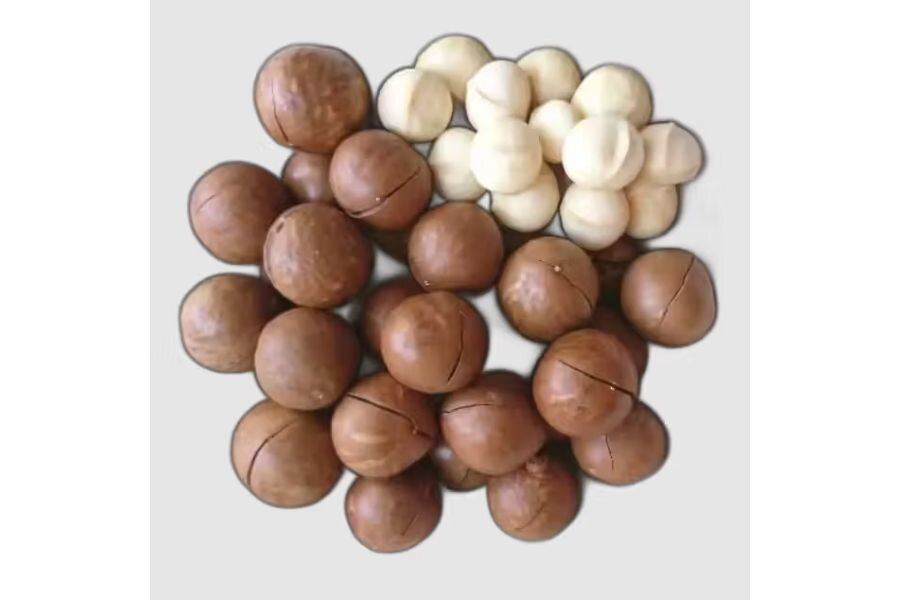 What is Macadamia? Why Is It Eaten So Much in the World?