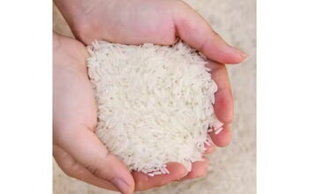 What Is Vietnamese Fragrant Rice? How Does It Compare to Other Types of Rice?