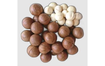 What is Macadamia? Why Is It Eaten So Much in the World?