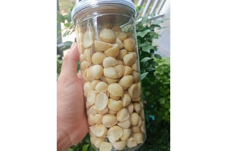 Hạt macca 500g là gì? Thành phần dinh dưỡng