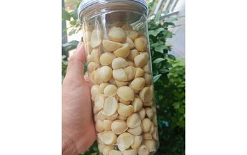 Hạt macca 500g là gì? Thành phần dinh dưỡng